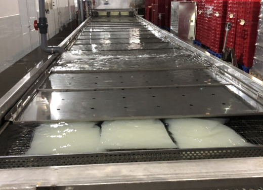 ALOE VERA GEL RAW MATERIAL PROCESS -  Pasteurization