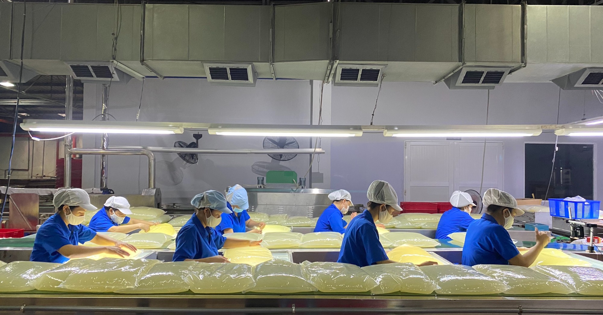 ALOE VERA GEL RAW MATERIAL PROCESS -  Quality control: Carefully checking each bag